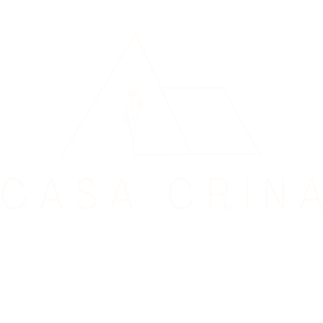 Casa Crina Orșova